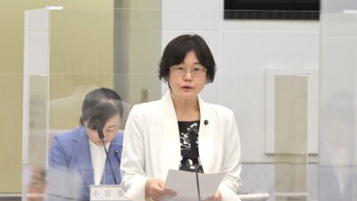 予算特別委員会　清水とし子都議(日野市選出)の討論