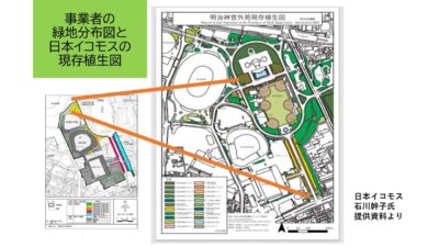 環境・建設委員会　神宮外苑再開発事業について　原純子都議(江戸川区)の質疑